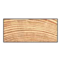 FT Forrammetræ L308 *FYR* 15x33mm - 270cm