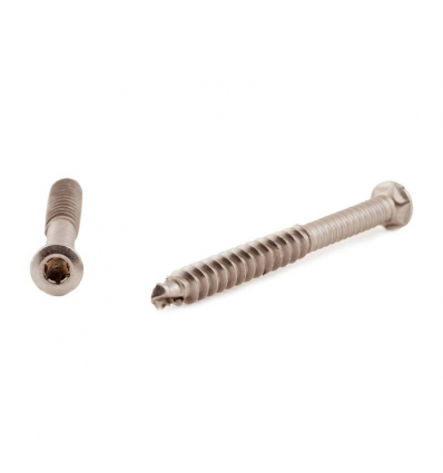 5,5x60mm Terrasseskrue A4 tx20 rustfri - 200stk.