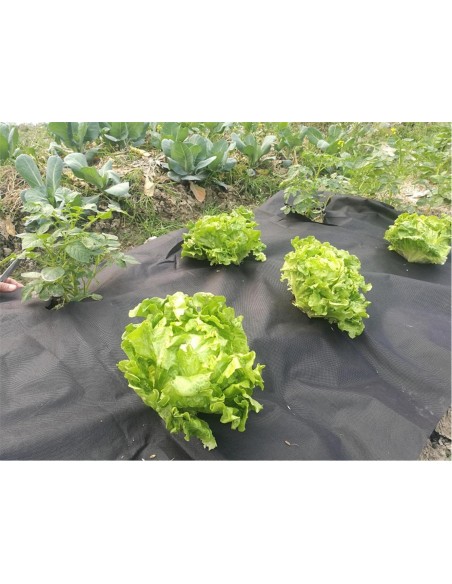 Green IT Ukrudtsdug 10meter 80 g/m2