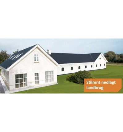 ds unik tagstensprofil
