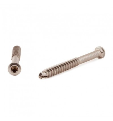 5,5x70mm Terrasseskrue A4 tx20 rustfri - 200stk.